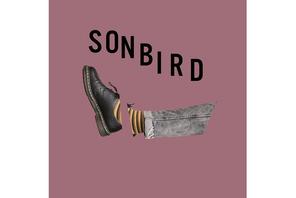 Sonbird, cd, okładka