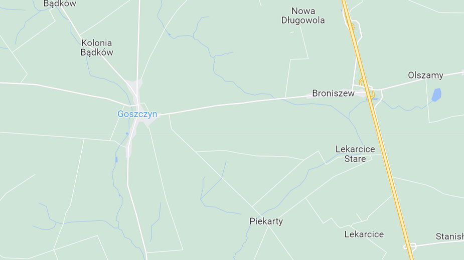 Wypadek zdarzył się w miejscowości Goszczyn