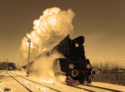 Światowy Kongres Żydów zgłasza pretensje do 'złotego pociągu'