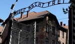 Zwiedzając Auschwitz, posłuchasz relacji byłych więźniów 