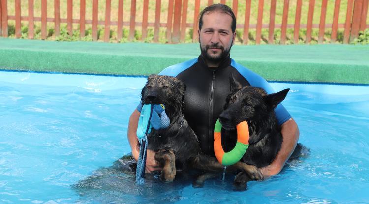 Nem minden kutya szereti a vizet - így lehet hozzászoktatni őket Fotó: Kovács Violetta