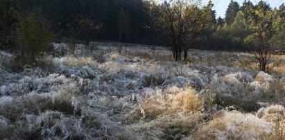 Polska w uścisku arktycznego powietrza. Nadchodzą minusowe temperatury