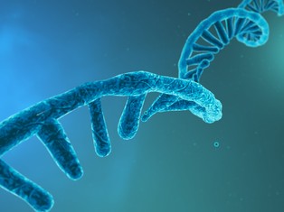 EMA: szczepionki oparte na technologii informacyjnego RNA (mRNA) nie wpływają na DNA