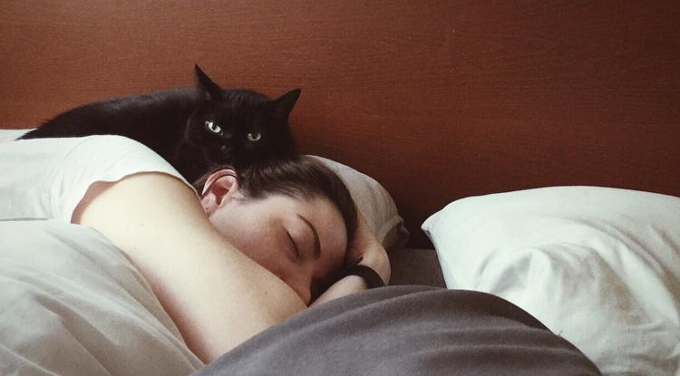Ez történik, ha csak a macskáddal osztozol az ágyon Fotó: Getty Images