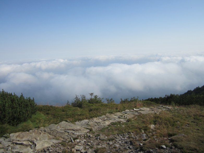 "Nad chmurami" - widok z Babiej Góry