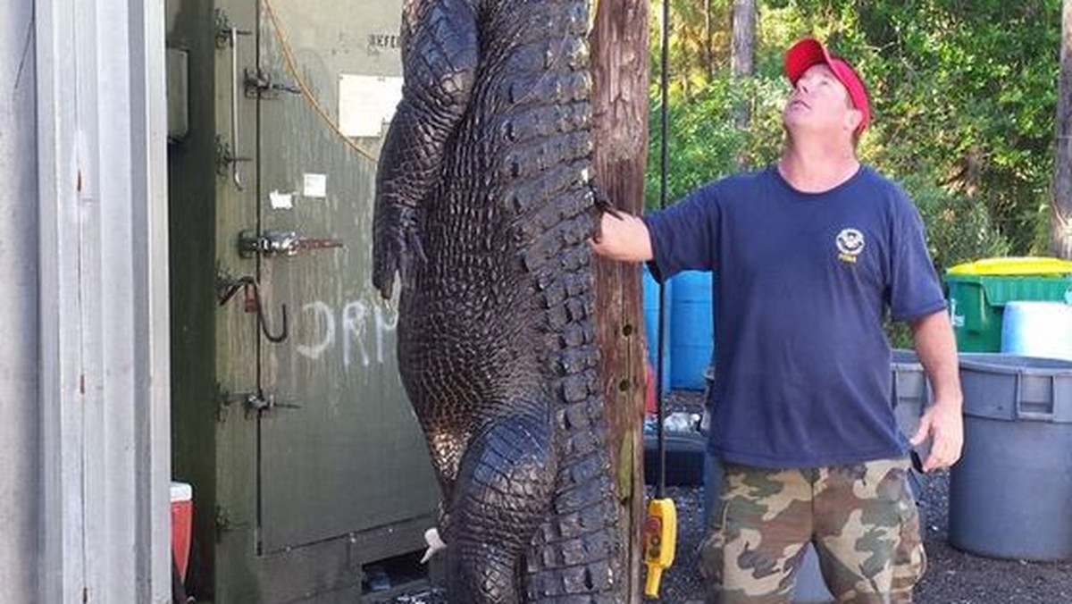 Zwierzę miało ponad cztery metry długości i ważyło prawie 350 kilogramów. Dwaj przyjaciele z Florydy chwalą się zabiciem tego "potwora" w Internecie.