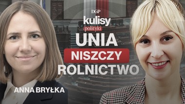 bryłka: ue przeciw rolnikom. merkosur to zdrada wsi [kulisy polityki]