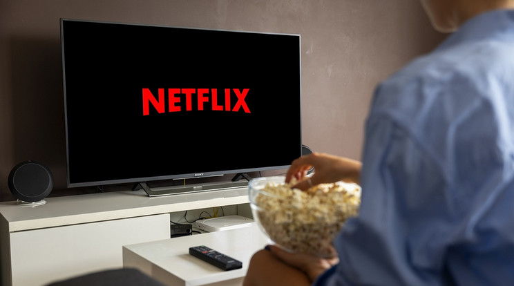 Február végétől több Sony tévén és Blu-ray eszközön is megszűnik a Netflix / Illusztráció: Pixabay