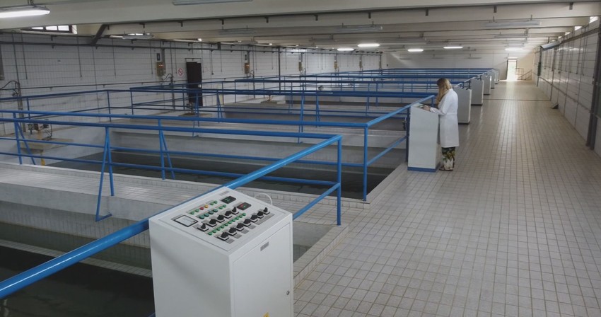 Fabrika vode Rzav