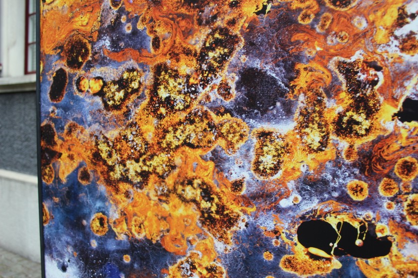 Das Trocknen ist immer mit viel Geduld verbunden, wie Rochat verrät. «Dann werde ich oft schon neugierig, scanne sie zu früh ein und mache sie kaputt.»