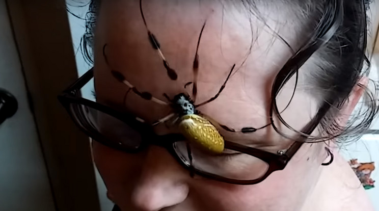Rémisztő látványt nyújtott a pók a nő arcán