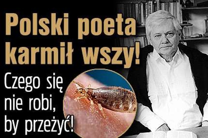 Polski poeta karmił wszy w celach naukowych