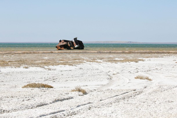 The Wider Image: Aral Sea: big fish is back in small pond