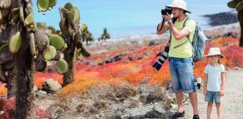 Wyspy Galapagos – te należące do Ekwadoru wyspy są uznawane za jedno z najpiękniejszych miejsc na ziemi. UNESCO wpisało Galapagos na listę światowego dziedzictwa. Na około 100 wyspach archipelagu Galapagos żyje 100 gatunków zwierząt, których nie spotkamy w innym miejscu na świecie.