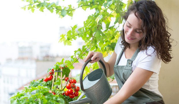 shutterstock 767355202 cveće zalivanje