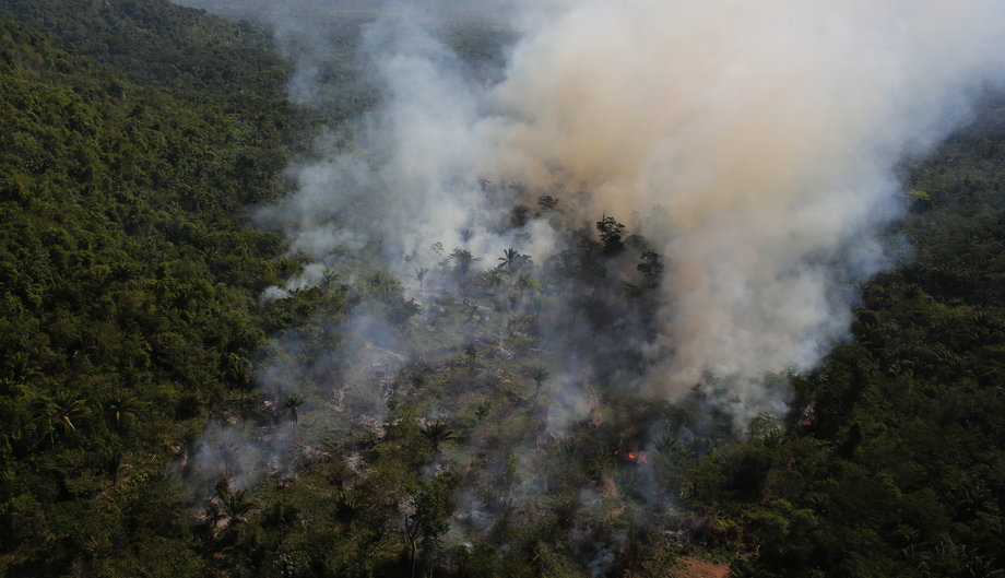 An aerial view of a tract of Amazon jungle burning as it is being cleared by loggers and farmers near the city of Novo Progresso, Para state, September 23, 2013.