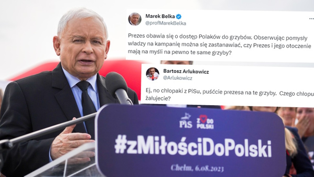 Kaczyński mówi o wolności i grzybach. Tusk: dziwnie się czuję, mając takiego rywala