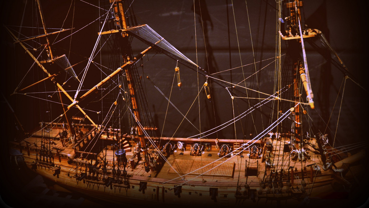 W Stanach Zjednoczonych odnaleziono masowy grób, w którym spoczywa najprawdopodobniej około stu piratów legendarnego statku Whydah Gally. Kapitanem załogi był słynny "Czarny Sam" - "Książę Piratów" i najbogatszy korsarz w historii.