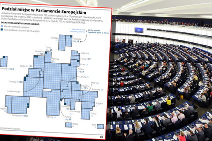 Wybory do Parlamentu Europejskiego. Oto terminy i podział mandatów [INFOGRAFIKI]