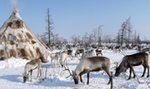 Mroźna i tajemnicza Syberia 