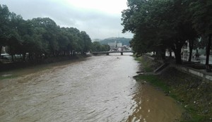 Jablanica pokrivalica