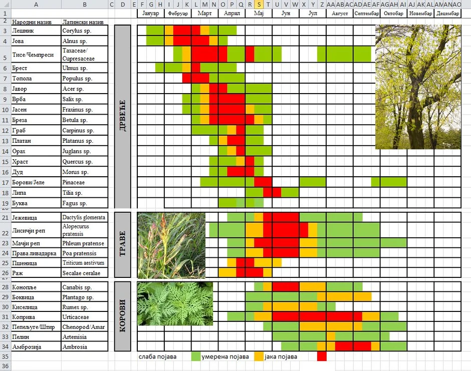 Kalendar cvetanja polena