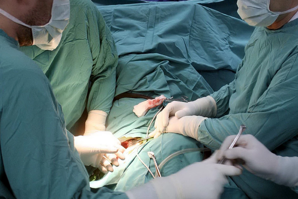 Željana i Teodor Dmitrović