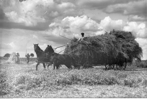  "Zwózka", rok 1932 (fot. Henryk Poddębski, domena publiczna).