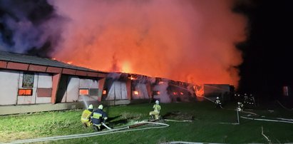 Ogromny pożar w Glinicy. Spłonęło 20 tys. kurczaków [ZDJĘCIA]