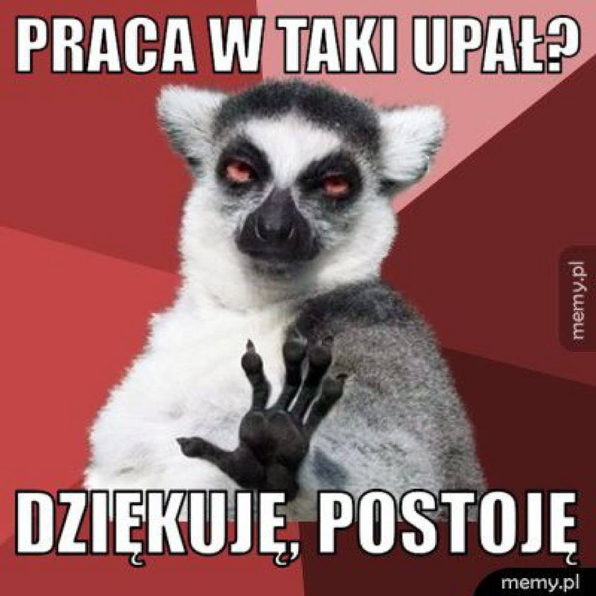 Najlepsze memy o upałach!