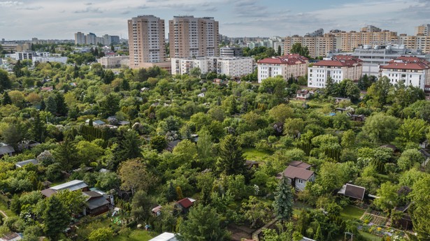 Więcej zieleni w małych miasteczkach?