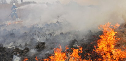 Pożar nad Biebrzą. Tragiczna sytuacja w sercu dzikiej natury