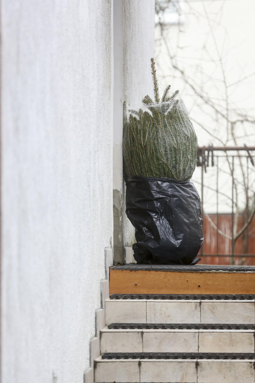 Święta Jarosława Kaczyńskiego. Tak się do nich przygotowuje