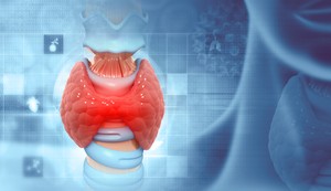 Hormoni štitne žlezde pokreću brzinu svakog metaboličkog procesa u telu, uključujući kretanje hrane kroz digestivni trakt
