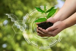 10 pytań z biologii. QUIZ. Więcej niż 6/10 to już dobry wynik