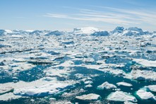 Siedem państw Europy zajęło jasne stanowisko ws. Grenlandii. Wśród nich Polska