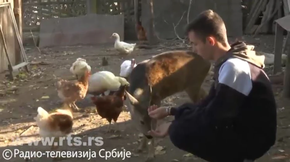 Mladen Filipović sa srnom Lenkom