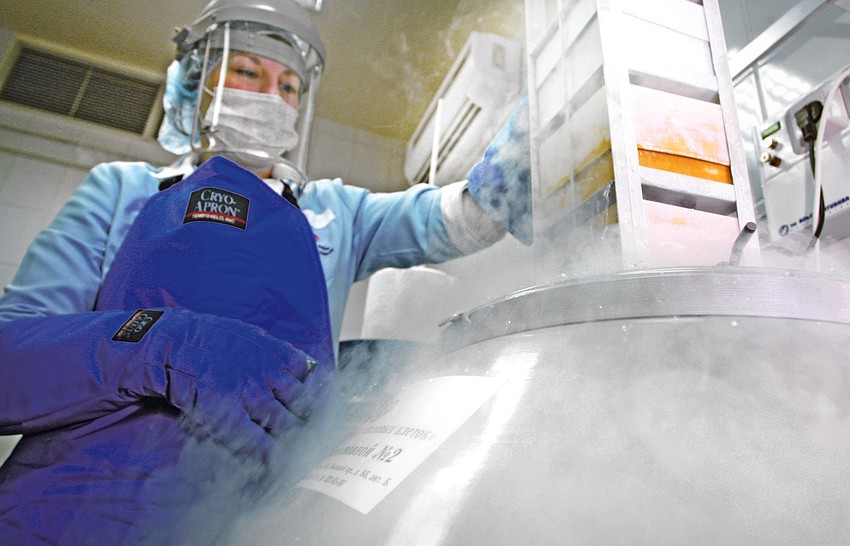 "Krio sejv" je otkupila poljska banka "Famikord", u koju je navodno transportovano oko 250.000 uzoraka ćelija koje su ranije čuvane u Švajcarskoj