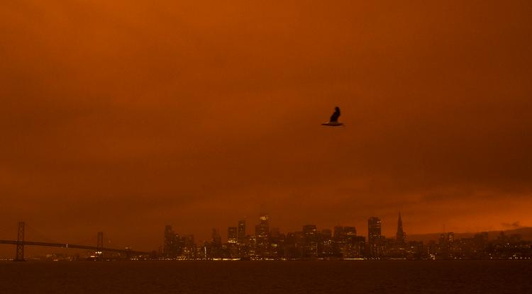 San Francisco fényes nappal a bozóttűz idején.