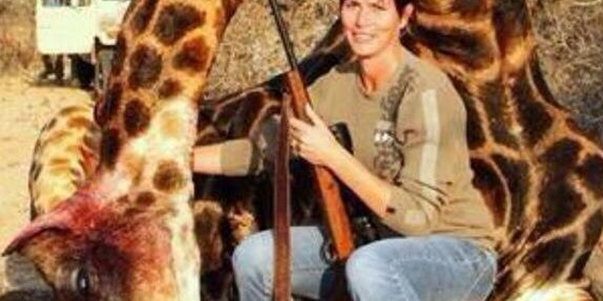 Turystka zabiła żyrafę