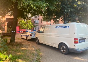 Bežanijska kosa hronika