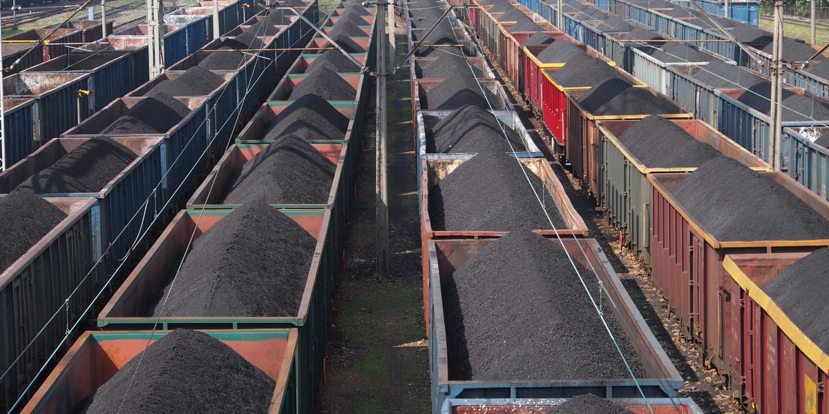 Węgiel importowany wykorzystywany jest głównie w gospodarstwach domowych i lokalnych ciepłowniach, a krajowy w elektrowniach