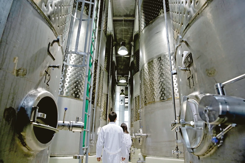 U VINARIJI SE KORISTI NAJSAVREMENIJA TEHNOLOGIJA