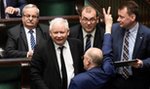 PiS miażdży konkurencję. W Sejmie będą jeszcze oni