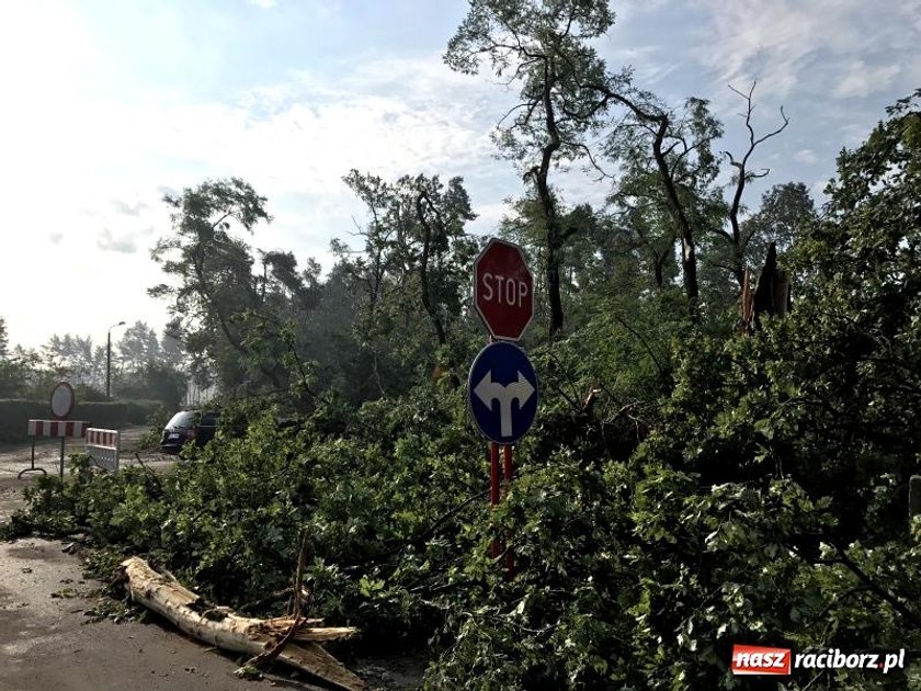 Nawałnice nad Polską. Zerwane dachy z 117 domów