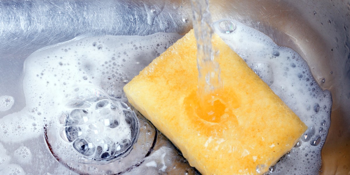 Your kitchen sponge is even more gross than you thought — here's how often you should replace it