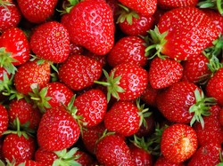 Tylko jabłek będzie w bród. Zapomnijcie o truskawkach i czereśniach