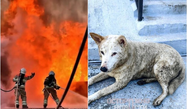 "Kiša nafte" u ruskom gradu Tuapseu