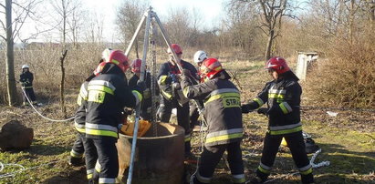 Makabra pod Sandomierzem. W studni odnaleziono ciało mężczyzny