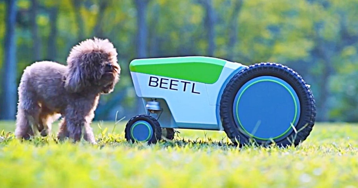 Beetl. Robot zbierający psie kupy